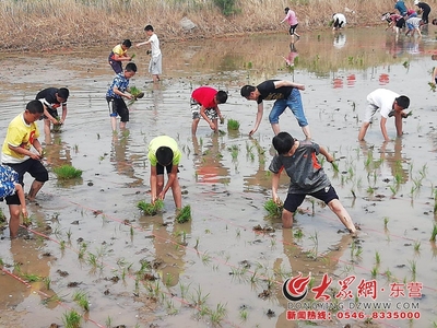 2018首屆中國黃河口大地文化藝術節插秧節盛大開幕，有機稻谷種植研發引領綠色農業新篇章