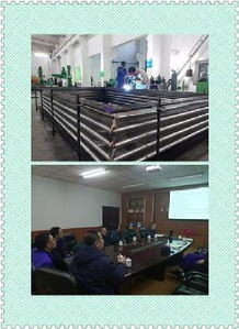 質量提升 貴在行動 系統化活動策劃方案